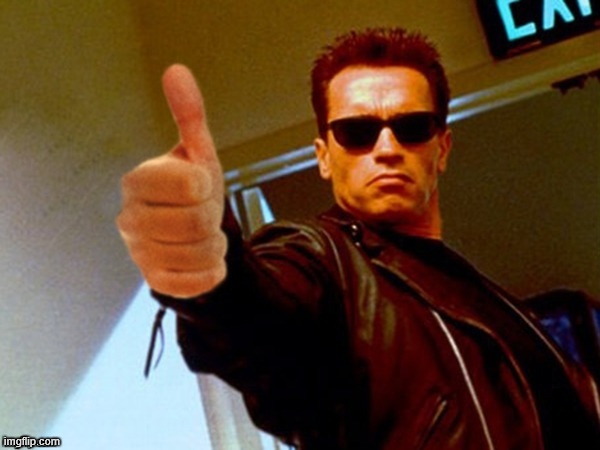 Arnold likes it | image tagged in arnold likes it | made w/ Imgflip meme maker