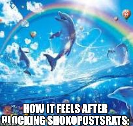 p | HOW IT FEELS AFTER BLOCKING SHOKOPOSTSRATS: | image tagged in how life feels when | made w/ Imgflip meme maker