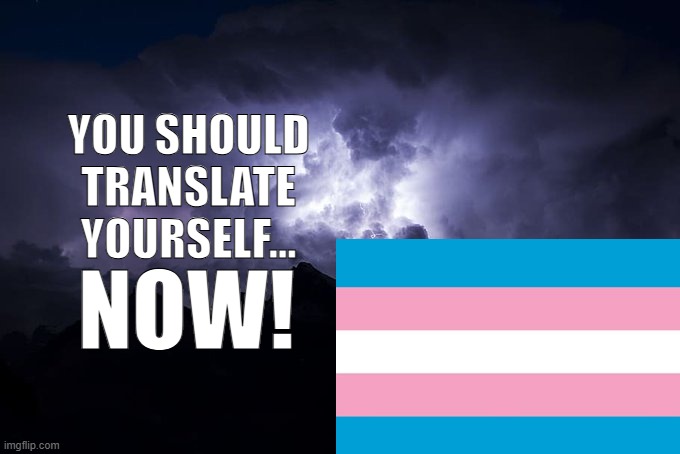 YOU SHOULD TRANSLATE YOURSELF... NOW! | image tagged in you should translate yourself now | made w/ Imgflip meme maker