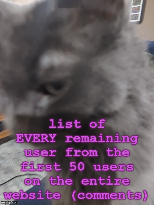 32's Cat | list of EVERY remaining user from the first 50 users on the entire website (comments) | image tagged in 32's cat | made w/ Imgflip meme maker