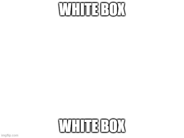white box | WHITE BOX; WHITE BOX | made w/ Imgflip meme maker