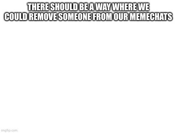 THERE SHOULD BE A WAY WHERE WE COULD REMOVE SOMEONE FROM OUR MEMECHATS | made w/ Imgflip meme maker