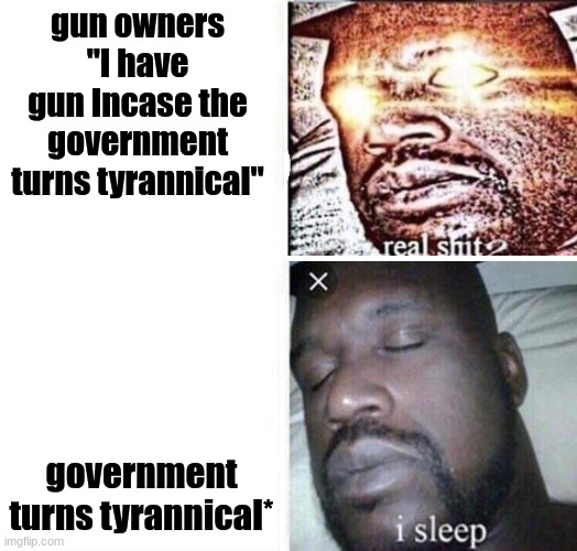 i sleep reverse | gun owners "I have gun Incase the government turns tyrannical"; government turns tyrannical* | image tagged in i sleep reverse | made w/ Imgflip meme maker