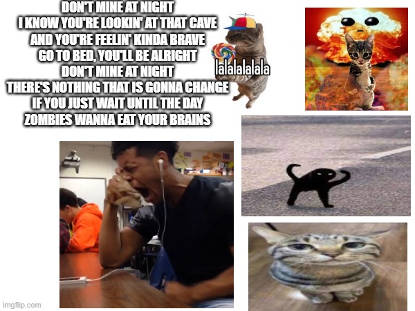 really sad | DON'T MINE AT NIGHT
I KNOW YOU'RE LOOKIN' AT THAT CAVE
AND YOU'RE FEELIN' KINDA BRAVE
GO TO BED, YOU'LL BE ALRIGHT
DON'T MINE AT NIGHT
THERE'S NOTHING THAT IS GONNA CHANGE
IF YOU JUST WAIT UNTIL THE DAY
ZOMBIES WANNA EAT YOUR BRAINS | image tagged in sad cat | made w/ Imgflip meme maker