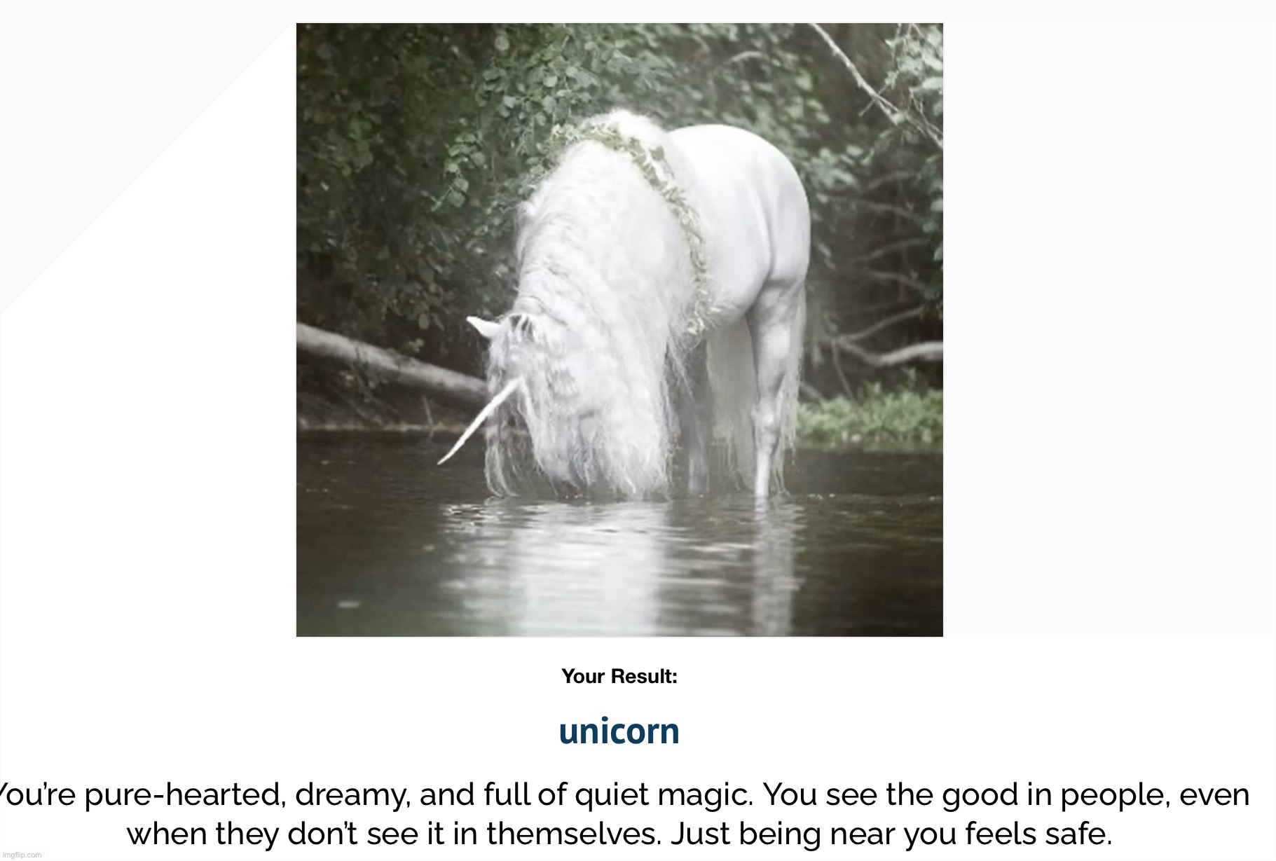 i love unicorns, i like the ones with wings though | made w/ Imgflip meme maker