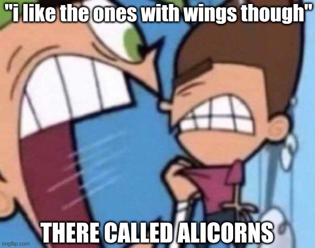 Cosmo yelling at timmy | "i like the ones with wings though" THERE CALLED ALICORNS | image tagged in cosmo yelling at timmy | made w/ Imgflip meme maker