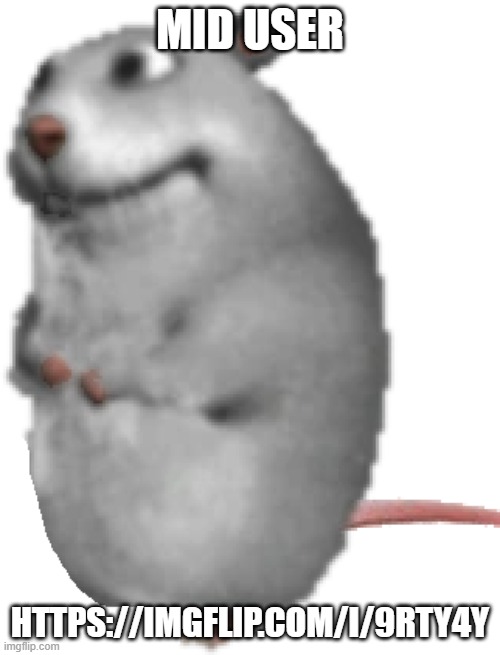 Mysz | MID USER; HTTPS://IMGFLIP.COM/I/9RTY4Y | image tagged in mysz | made w/ Imgflip meme maker