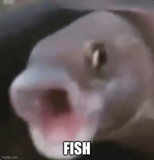 Poggers Fish | FISH | image tagged in poggers fish | made w/ Imgflip meme maker