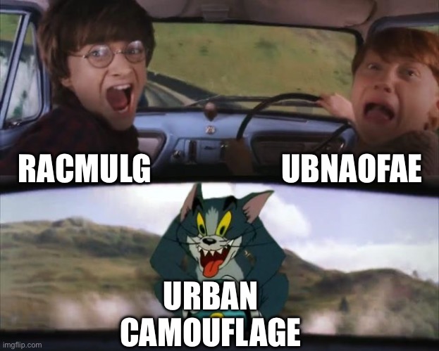 RACMULG UBNAOFAE URBAN CAMOUFLAGE | image tagged in tom chasing harry and ron weasly | made w/ Imgflip meme maker