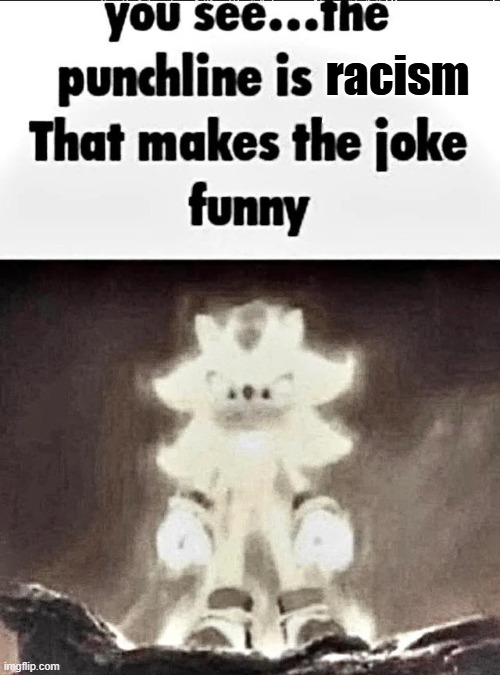 Shadow explains the joke | racism | image tagged in shadow explains the joke | made w/ Imgflip meme maker