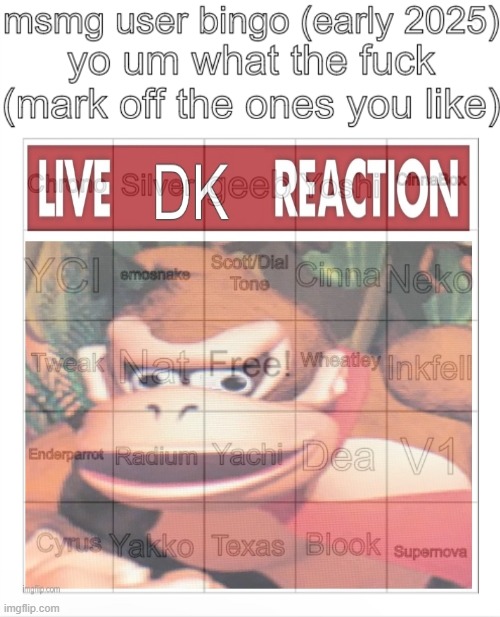 i recognize like five names here | image tagged in msmg user bingo christmas 2024 | made w/ Imgflip meme maker