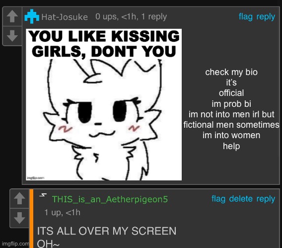 aetherpigeon5 busting | check my bio
it’s official
im prob bi
im not into men irl but fictional men sometimes
im into women
help | image tagged in aetherpigeon5 busting | made w/ Imgflip meme maker