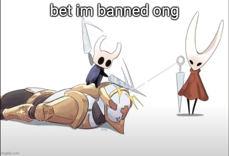 +HALLOWNESS | bet im banned ong | image tagged in hallowness | made w/ Imgflip meme maker