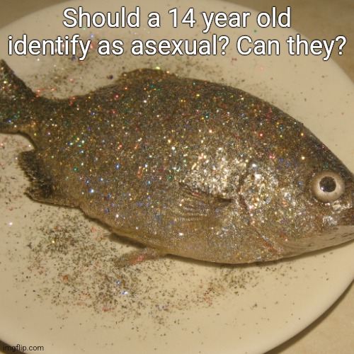 Le fish au glitter | Should a 14 year old identify as asexual? Can they? | image tagged in le fish au glitter | made w/ Imgflip meme maker