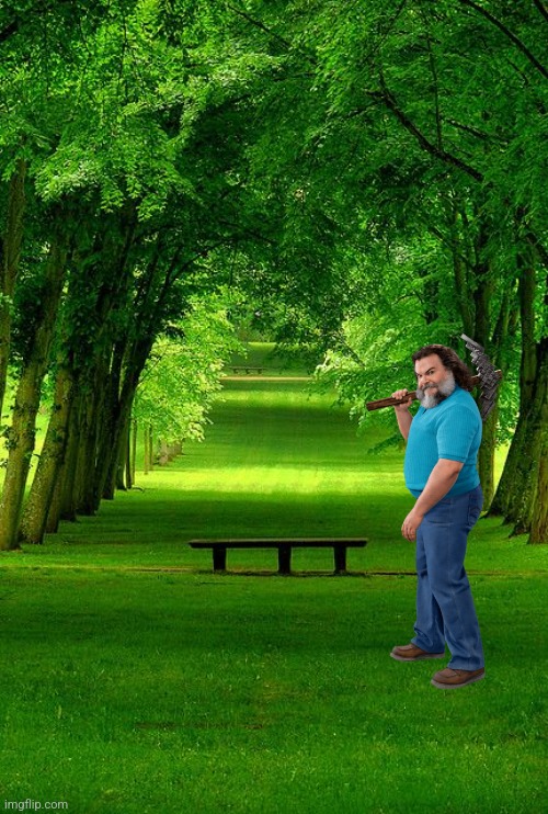 Chat this is how I feel sometimes | image tagged in a lone bench in a vast of trees | made w/ Imgflip meme maker