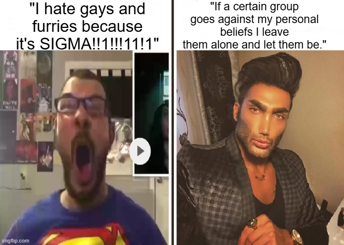 being kind and respectful is actually sigma | "I hate gays and furries because it's SIGMA!!1!!!11!1"; "If a certain group goes against my personal beliefs I leave them alone and let them be." | image tagged in average fan vs average enjoyer,sigma,youtube shorts,politics,gigachad,memes | made w/ Imgflip meme maker