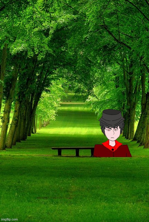 a lone bench in a vast of trees. | image tagged in a lone bench in a vast of trees,mepios | made w/ Imgflip meme maker