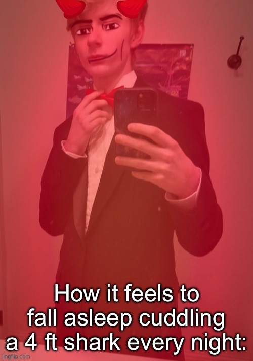 How it feels to fall asleep cuddling a 4 ft shark every night: | made w/ Imgflip meme maker