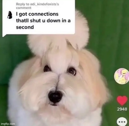 Dog | made w/ Imgflip meme maker