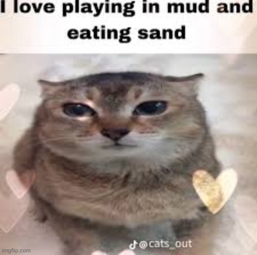 ts so soda | made w/ Imgflip meme maker