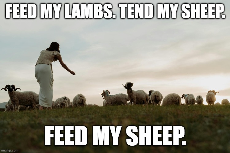 FEED MY LAMBS. TEND MY SHEEP. FEED MY SHEEP. | made w/ Imgflip meme maker