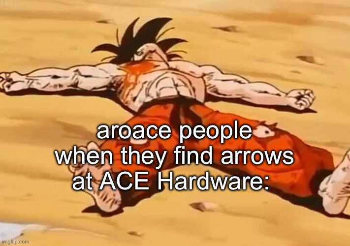 aroace people when they find arrows at ACE Hardware: | made w/ Imgflip meme maker
