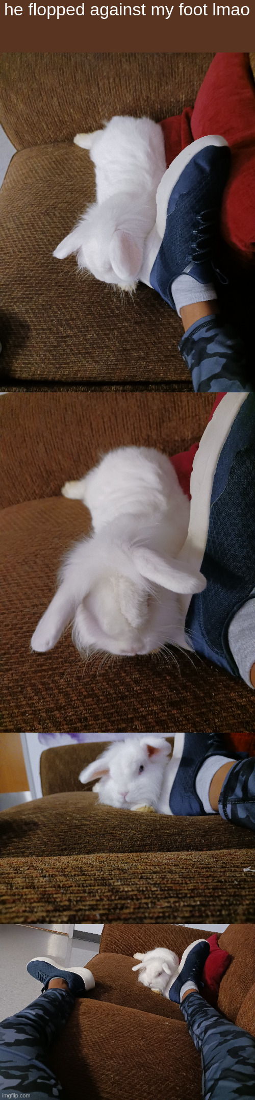 he flopped against my foot lmao | made w/ Imgflip meme maker