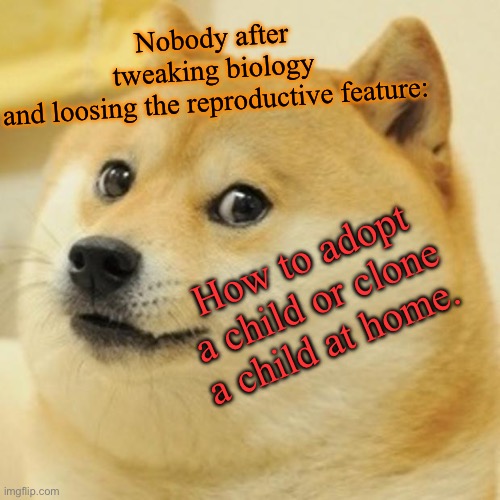 Fuck | Nobody after tweaking biology and loosing the reproductive feature:; How to adopt a child or clone a child at home. | image tagged in memes,doge | made w/ Imgflip meme maker