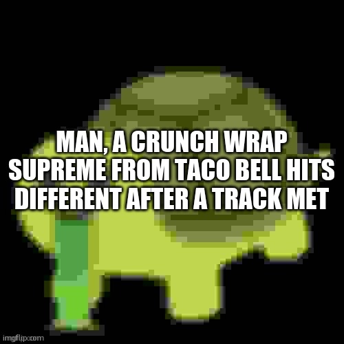 if you want my race times comment and ill get back to you i need a shower | MAN, A CRUNCH WRAP SUPREME FROM TACO BELL HITS DIFFERENT AFTER A TRACK MET | image tagged in low quality barfing turtle | made w/ Imgflip meme maker