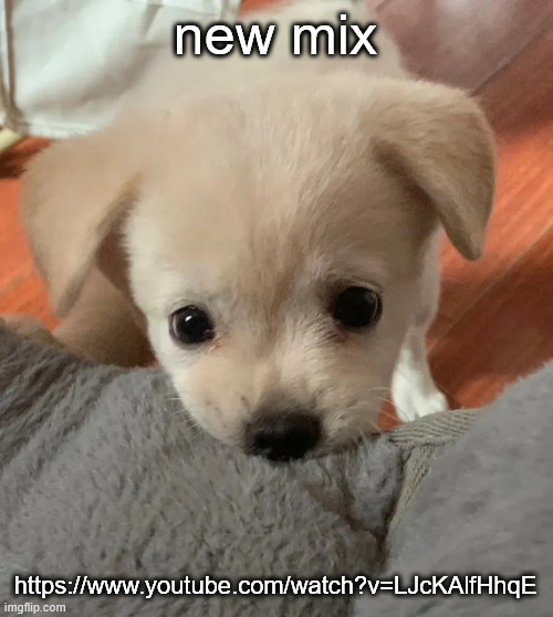 hi | new mix; https://www.youtube.com/watch?v=LJcKAlfHhqE | image tagged in hi | made w/ Imgflip meme maker