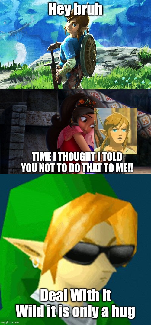 The Hero of Time roasted the Hero of the Wild after a hug from Princess Elena and Princess Sofia | Hey bruh; TIME I THOUGHT I TOLD YOU NOT TO DO THAT TO ME!! Deal With It Wild it is only a hug | image tagged in link,link deal with it,sofia the first,fun,memes,funny memes | made w/ Imgflip meme maker