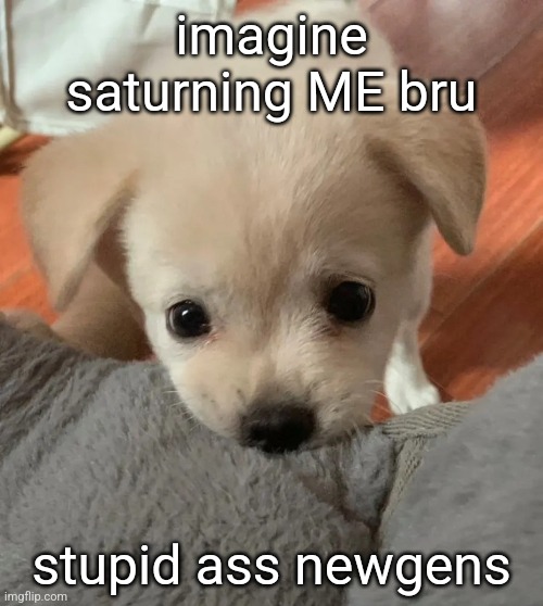 im sylceon btw | imagine saturning ME bru; stupid ass newgens | image tagged in hi | made w/ Imgflip meme maker