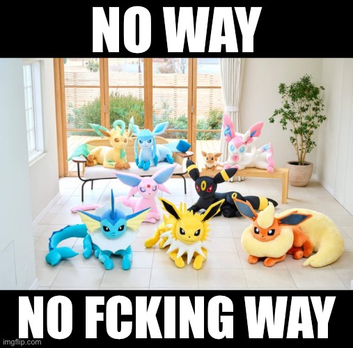 Life size eeveelution plushies :D | NO WAY; NO FCKING WAY | made w/ Imgflip meme maker