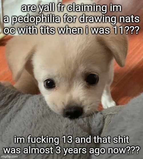 hi | are yall fr claiming im a pedophilia for drawing nats oc with tits when i was 11??? im fucking 13 and that shit was almost 3 years ago now??? | image tagged in hi | made w/ Imgflip meme maker