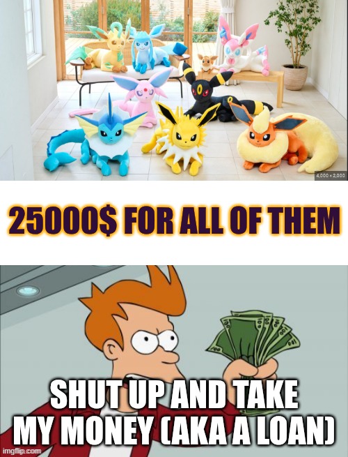 why so expensive (Eevee is the cheapest at 25 dollars) | 25000$ FOR ALL OF THEM; SHUT UP AND TAKE MY MONEY (AKA A LOAN) | image tagged in fry confused then shut up and take my money | made w/ Imgflip meme maker