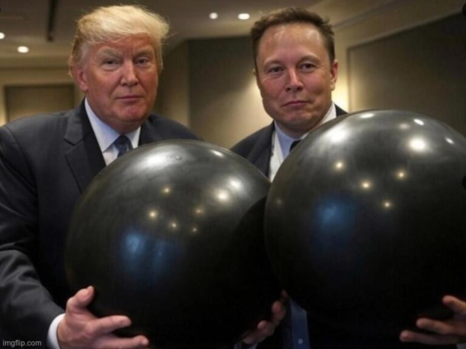 Trump Elon balls | image tagged in trump elon balls | made w/ Imgflip meme maker