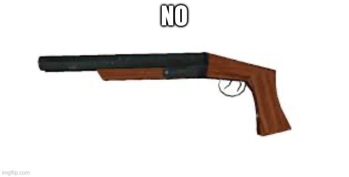 Granny shotgun | NO | image tagged in granny shotgun | made w/ Imgflip meme maker