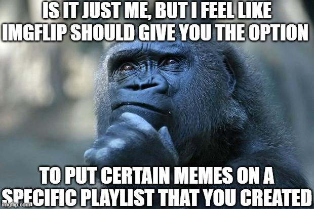 I think so, but that's just me | IS IT JUST ME, BUT I FEEL LIKE IMGFLIP SHOULD GIVE YOU THE OPTION; TO PUT CERTAIN MEMES ON A SPECIFIC PLAYLIST THAT YOU CREATED | image tagged in deep thoughts,gorilla,vs,100,men,playlist | made w/ Imgflip meme maker
