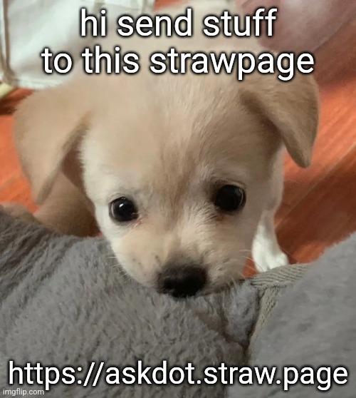 drawing stuff still doesnt work btw | hi send stuff to this strawpage; https://askdot.straw.page | image tagged in hi | made w/ Imgflip meme maker