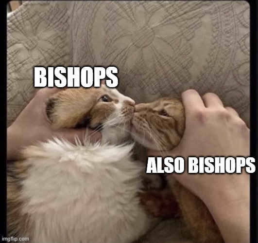 Cats kissing | BISHOPS; ALSO BISHOPS | image tagged in cats kissing | made w/ Imgflip meme maker