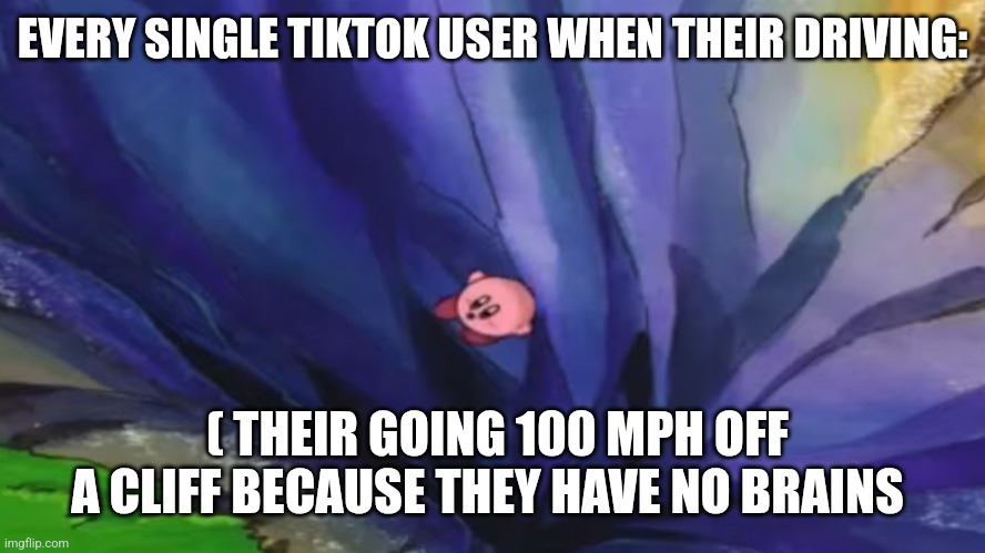 Kirby falling off a cliff (blank template) | EVERY SINGLE TIKTOK USER WHEN THEIR DRIVING: ( THEIR GOING 100 MPH OFF A CLIFF BECAUSE THEY HAVE NO BRAINS | image tagged in kirby falling off a cliff blank template | made w/ Imgflip meme maker