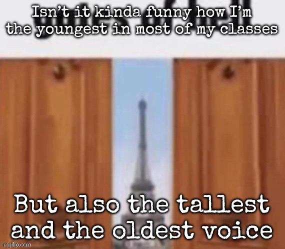 The gates of hell | Isn’t it kinda funny how I’m the youngest in most of my classes; But also the tallest and the oldest voice | image tagged in the gates of hell,msmg | made w/ Imgflip meme maker