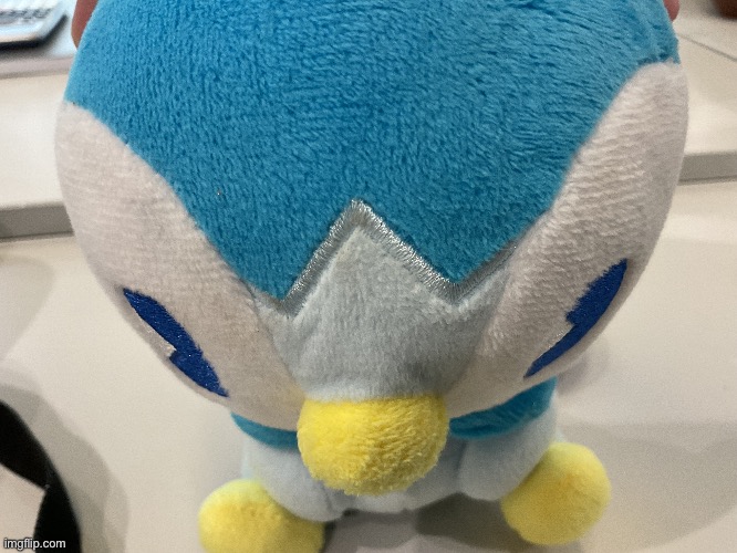 Piplup plush owned by my friend’s little brother | made w/ Imgflip meme maker