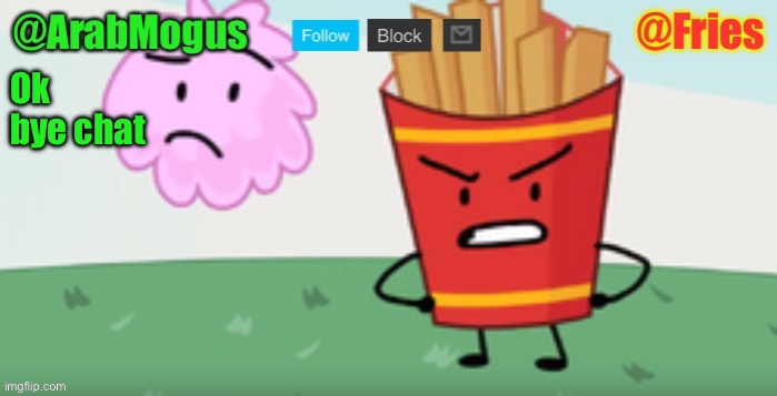 ArabMogus and Fries shared temp | Ok bye chat | image tagged in arabmogus and fries shared temp | made w/ Imgflip meme maker