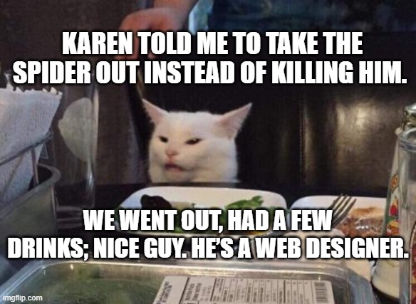 web designer | KAREN TOLD ME TO TAKE THE SPIDER OUT INSTEAD OF KILLING HIM. WE WENT OUT, HAD A FEW DRINKS; NICE GUY. HE’S A WEB DESIGNER. | image tagged in salad cat | made w/ Imgflip meme maker