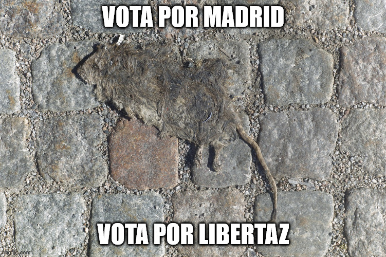 VOTA POR MADRID; VOTA POR LIBERTAZ | made w/ Imgflip meme maker