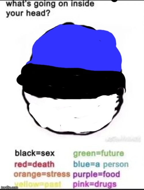 estonia | image tagged in what's going on inside your head | made w/ Imgflip meme maker
