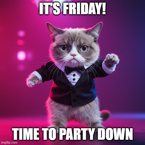Grumpy Cat Friday | IT'S FRIDAY! TIME TO PARTY DOWN | image tagged in it's friday | made w/ Imgflip meme maker