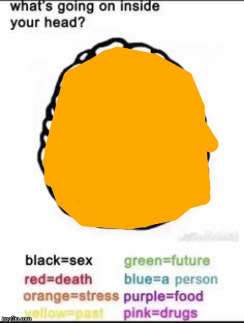 What's going on inside your head? | image tagged in what's going on inside your head | made w/ Imgflip meme maker