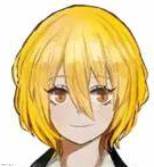 Don Quixote | image tagged in don quixote | made w/ Imgflip meme maker